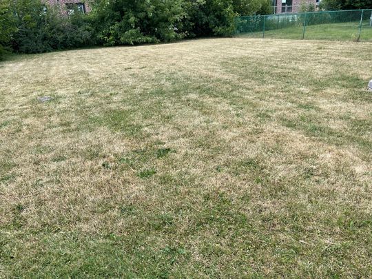 For Lease - 30 Norcross Road Unit# Basement, Toronto, Ontario - Photo 1