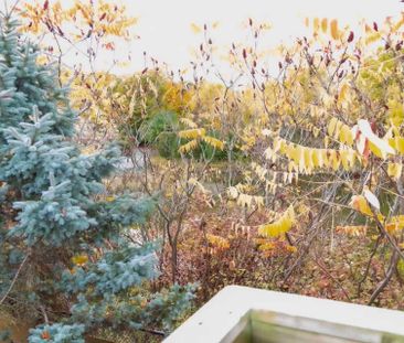 For Lease - 19 Durango Drive, Richmond Hill, Ontario - Photo 1