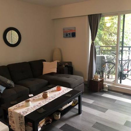 Kitsilano, Bright, Large 1 Bed, 2nd Flr, Oct 1st - Photo 3