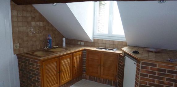 Location Appartement 1 pièce 19m² GRENOBLE 38000 - Photo 2