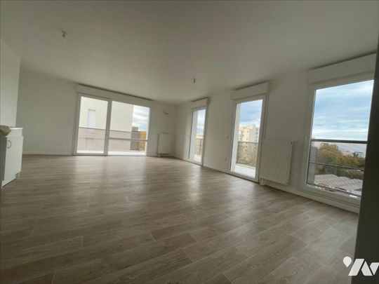 HAIE VIGNE - Photo 1