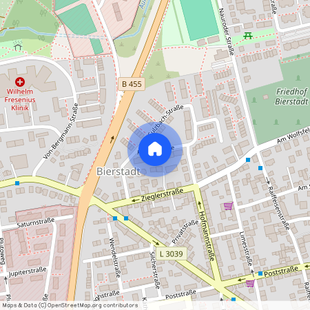 Kanzelstraße 11, 65191 Hessen - Wiesbaden