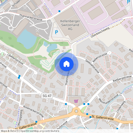 Thannstrasse 13, 9403 Goldach