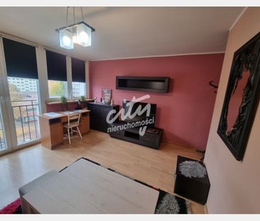 Szczecin - Zdjęcie 5