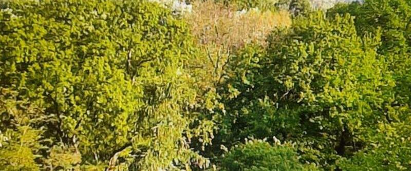 2 Zi Dachgeschoss zum Park 72qm - Photo 1