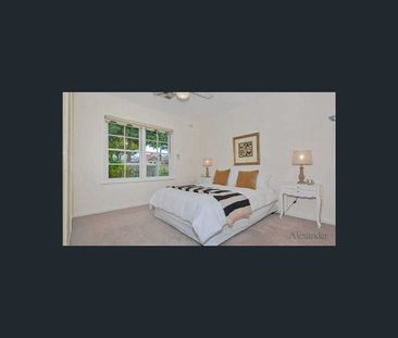 144 Third Avenue, Royston Park, SA 5070 - Photo 5