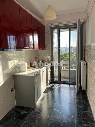 Διαμέρισμα για ενοικίαση Πασαλιμάνι (Καστέλλα - Πασαλιμάνι) - Photo 5