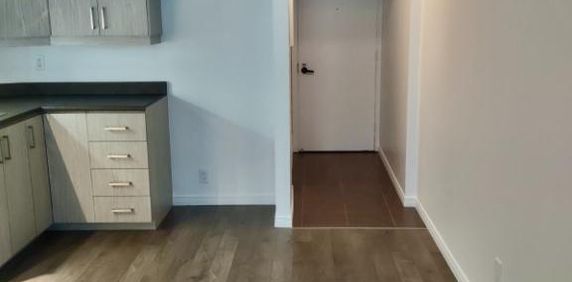 COQUET 2 1/2 TOUT RÉNOVÉ, GYM, PISCINES - À VOIR - Photo 2