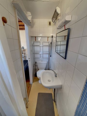 Location Appartement 1 pièce 19m² GRENOBLE 38000 - Photo 4