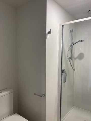 Unit 4F 16-18 Constable Street, Newtown, Wellington. - Photo 3