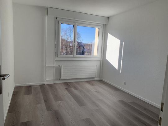 Rue Blaise-Cendrars 10, appartement 3ème Est - Photo 1