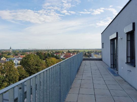 2 Balkone, Ubahn und Kurpark U1 Oberlaa - Foto 1