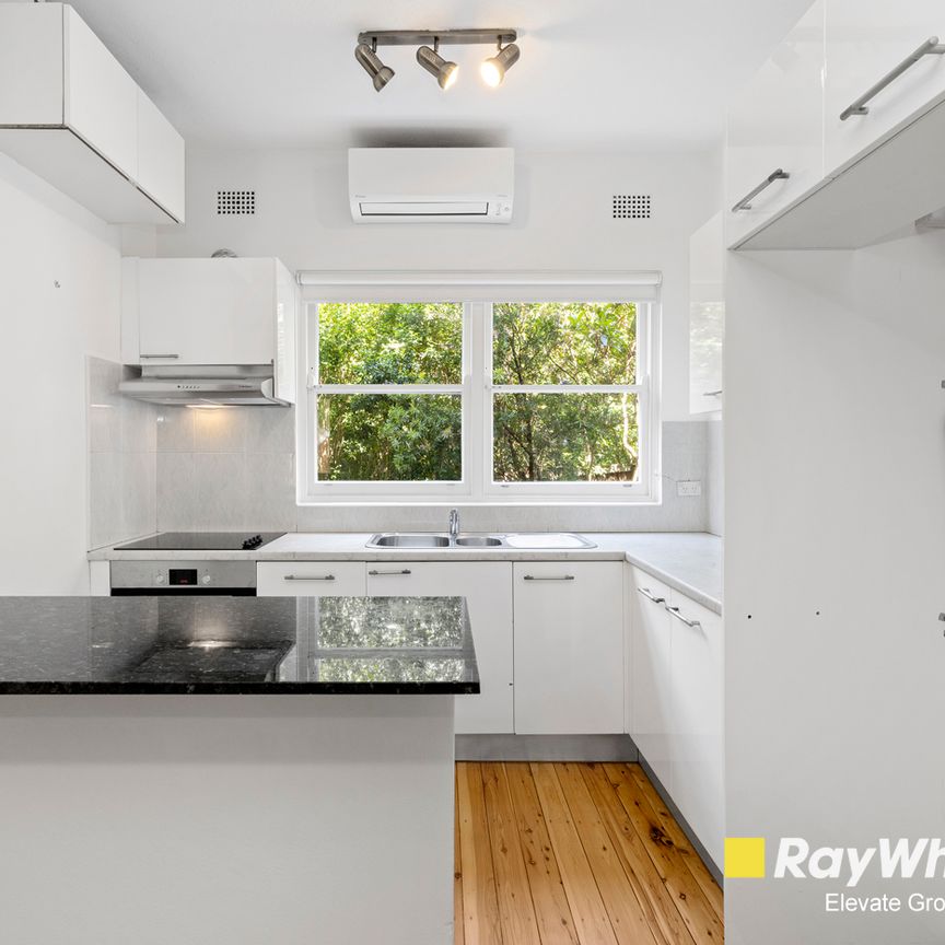 3/4 Sunning Place, Summer Hill NSW 2130 - House For Rent | Domain - Photo 1