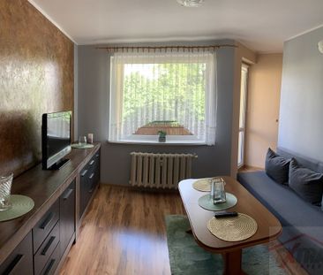 Do wynajęcia, Bukowe, śliczne dwa pokoje, 32,60m2 (437146) - Фото 2