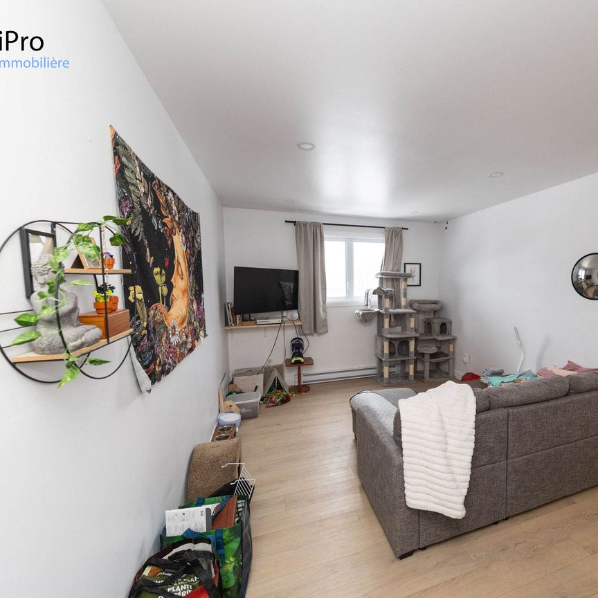 1159 Jean-Talon Ouest - Photo 1