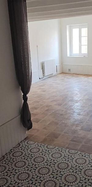 Location Appartement 1 pièce 47m² CHALON SUR SAONE 71100 - Photo 1