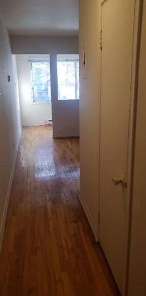 Studio - Plateau Montréal - $950.00 /mo - Photo 1