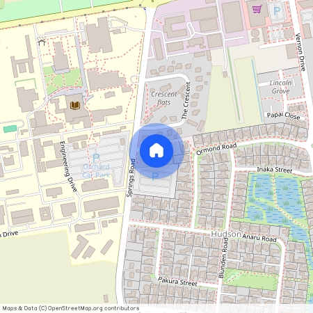 1393 Springs Road, Selwyn, Lincoln