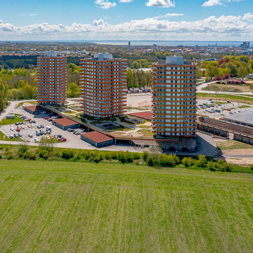 Tegelbruksvägen, Halmstad - Photo 1