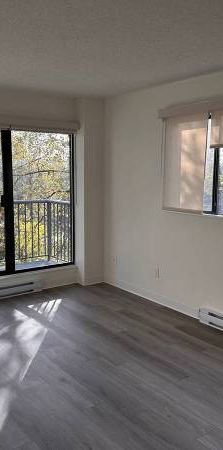 1-Bedroom Fully Renovated close to SkyTrain (Lougheed) - Photo 1