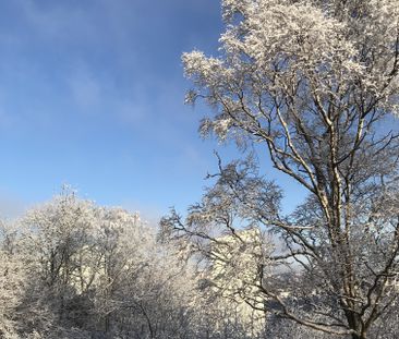 Doktor Forselius Backe, Göteborg - Foto 3