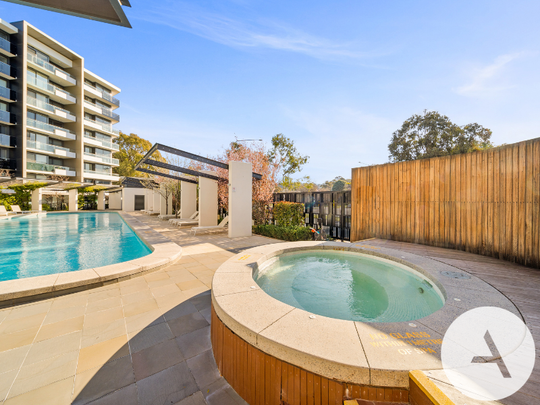 137/7 Irving St, Phillip ACT 2606 - Apartment For Rent | Domain - Photo 1