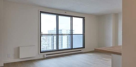 1 CH - 1 SDB - Longueuil - $1,570 /mo - Photo 2