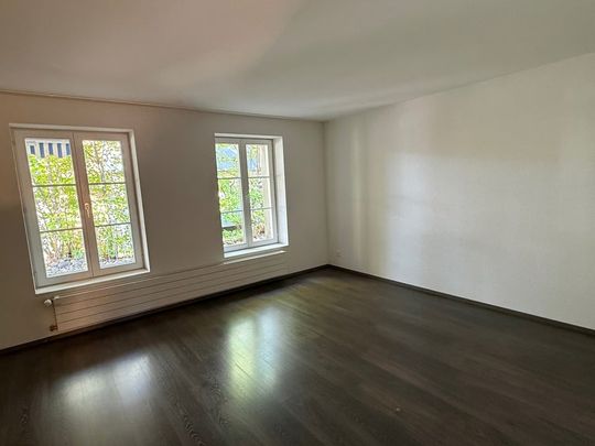 3.5 Zimmer, 76 m², EG - Foto 1