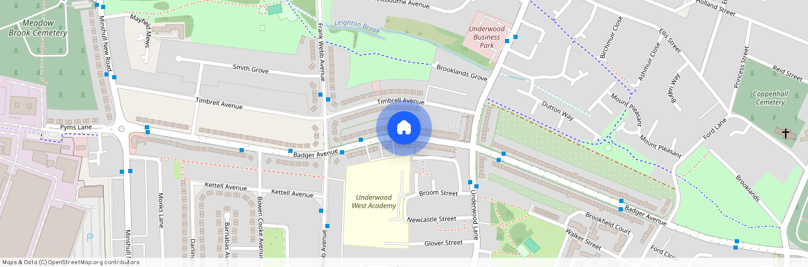 Badger Avenue, CW1 3LP, Crewe