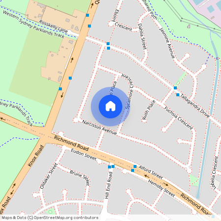 13 Tulip Place, Quakers Hill NSW 2763