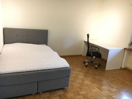 Simon #3 - Experience 60's Charm in Zürich's Green Oasis - Foto 3