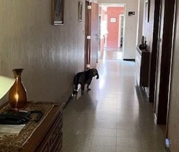 Eengezinswoning te huur in Kozen voor € 1.050 met 3 slaapkamers - Photo 1