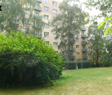 Pronájem bytu 1+1 43 m² - Photo 1
