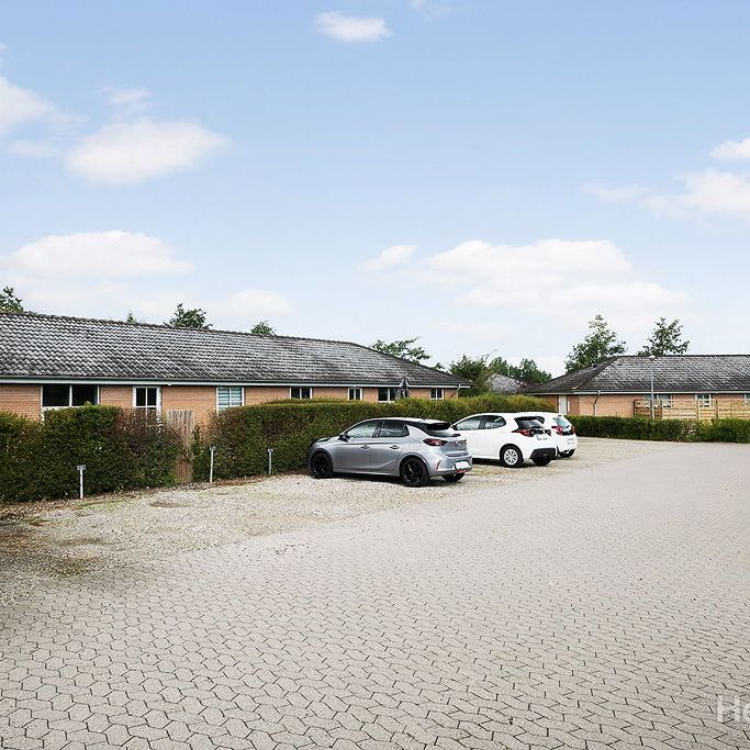 Nytoften 37B, 5220 Odense SØ - Foto 1