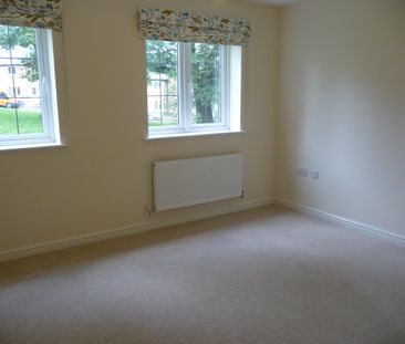 Masson Hill View - Photo 2