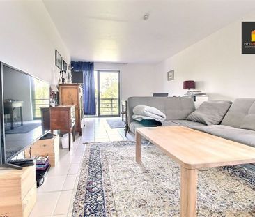 Appartement - Photo 4