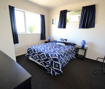 2/411a Wakefield Quay (ground floor), Stepneyville, Nelson - Photo 6