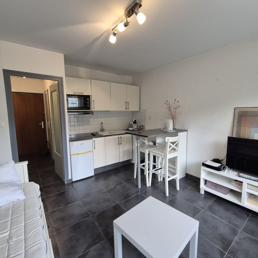 Location Appartement 1 pièce 21m² ST JULIEN EN GENEVOIS 74160 - Photo 1