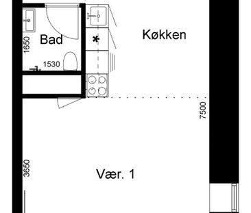 1-værelses studiebolig (Type 2) - Foto 1