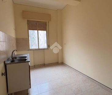 6 locali in affitto - Foto 6