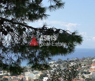 Μονοκατοικία 310 τ.μ. προς ενοικίαση - Photo 5