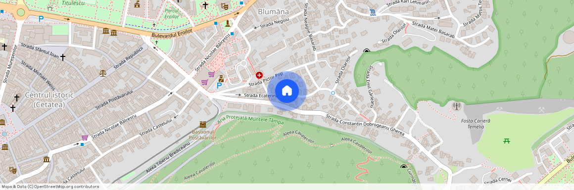 Strada Ecaterina Varga