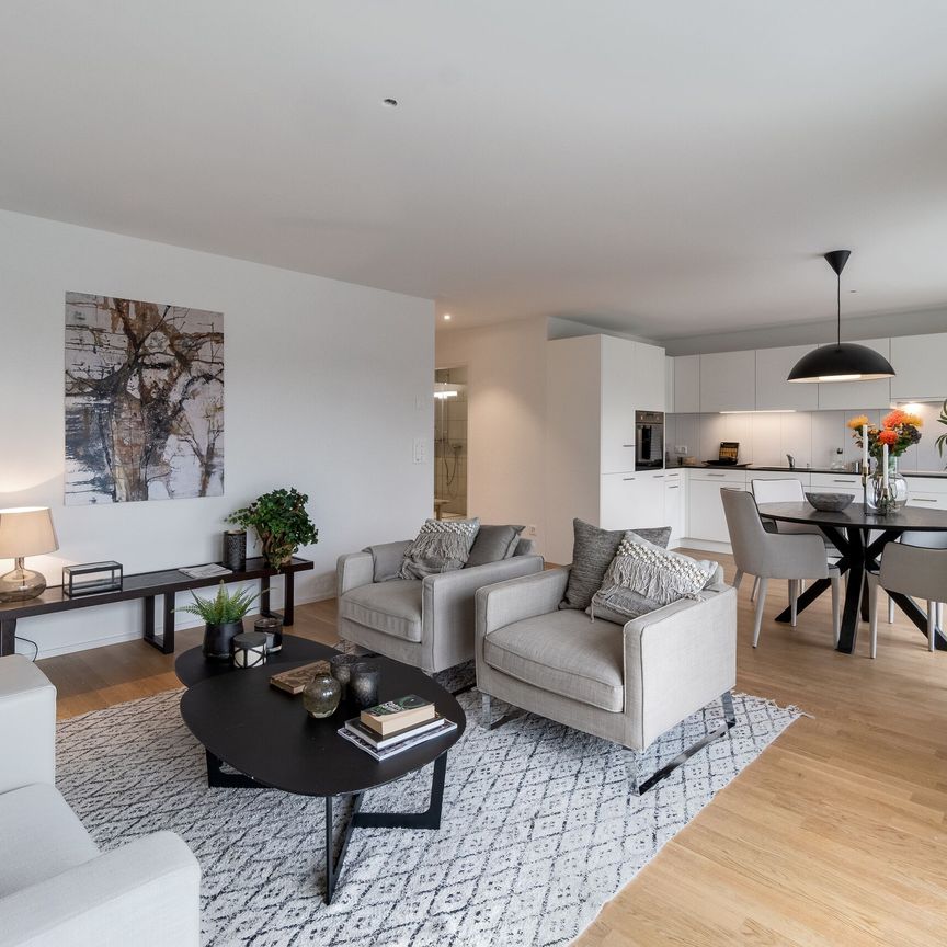 Sonnenstunden auf der Attikaterrasse gesucht? - Photo 1