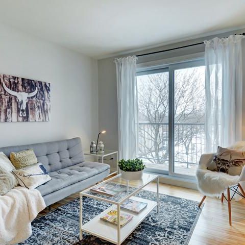 Appartement 5 ½ à louer Sainte-Foy / Sillery juillet 2026 - Photo 1