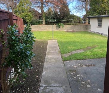 Sunny & Spacious Three-Bedroom Home - Photo 2