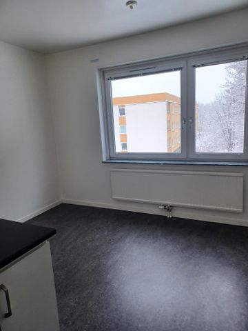 Runebergsgatan 38 - Photo 5