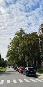 Lumineux 5 ½ au coeur d'Outremont/av. Bernard - Photo 3