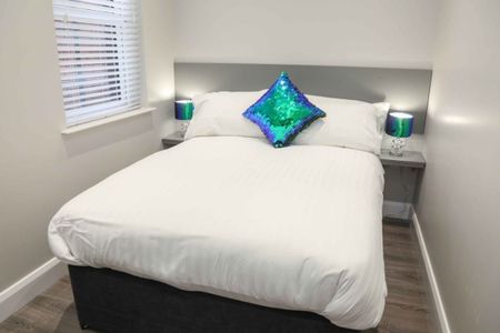 Apt 4, 61 Eglantine Avenue, Belfast BT9 6EW - Photo 4