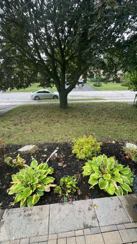 For Lease - 21 Hiley Avenue, Ajax, Ontario - Photo 4