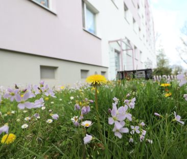 2 Raumwohnung mit Balkon und EBK - Photo 6